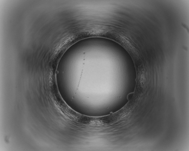 X0000101120591200806261438
