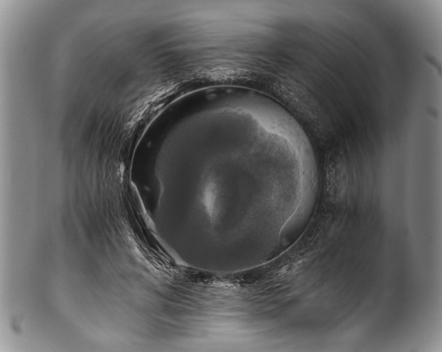 X0000101120592200806261438