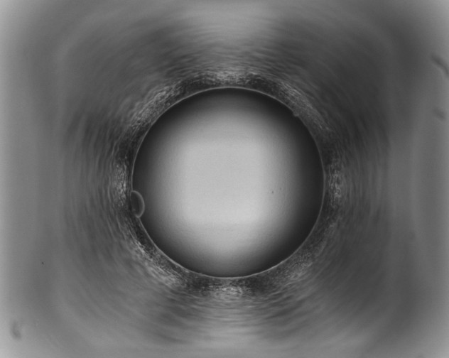 X0000101120593200806261438