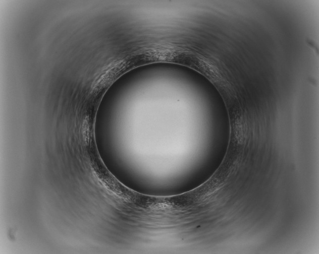 X0000101120594200806261438
