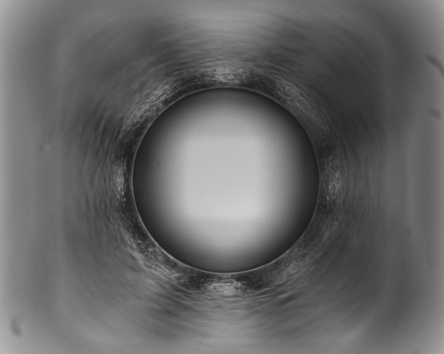 X0000101120595200806261438