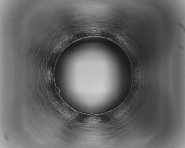 X0000101120597200806261438