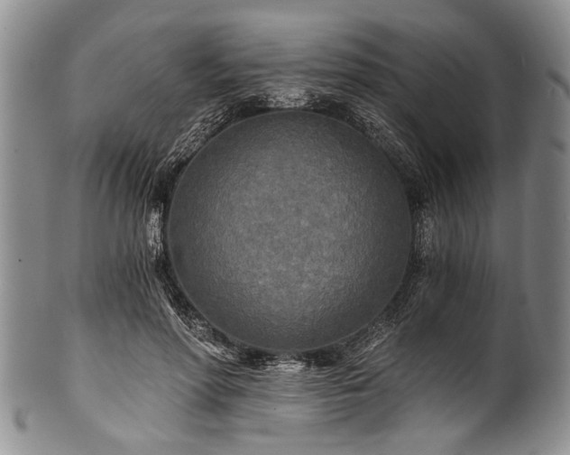 X0000101120598200806261438