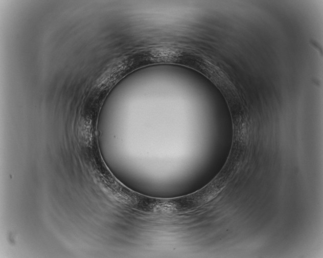 X0000101120599200806261438