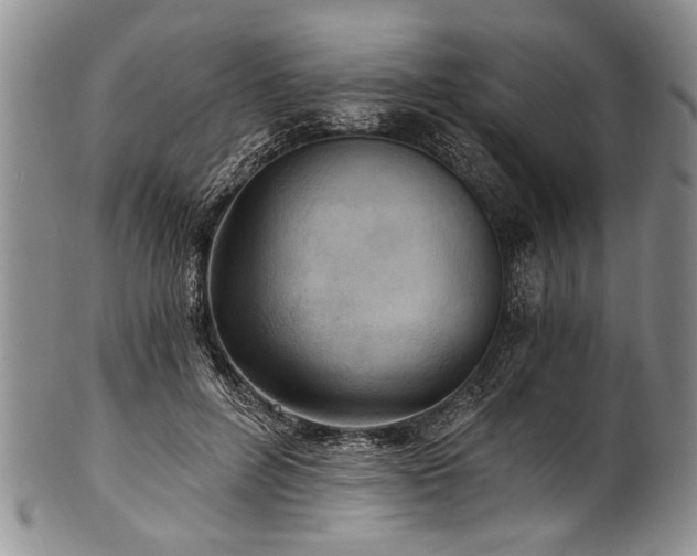 X0000101120600200806261438