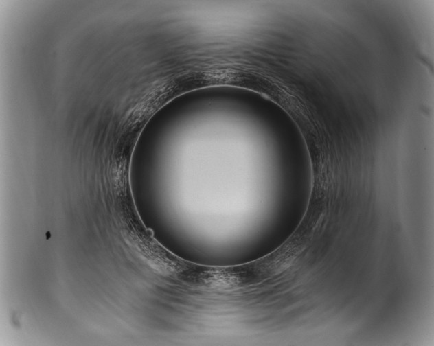 X0000101120601200806261438