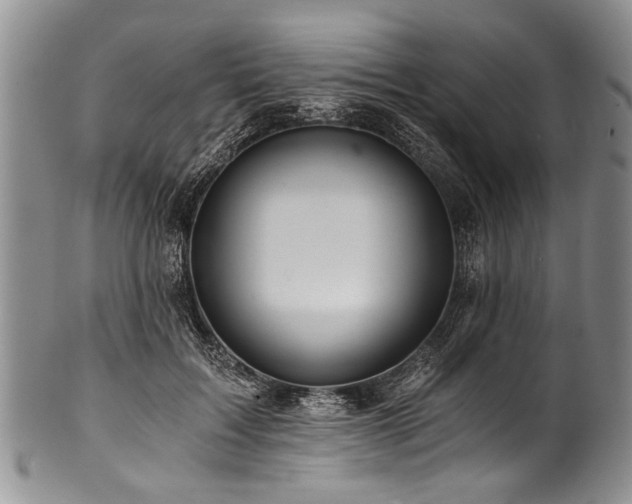 X0000101120603200806261438