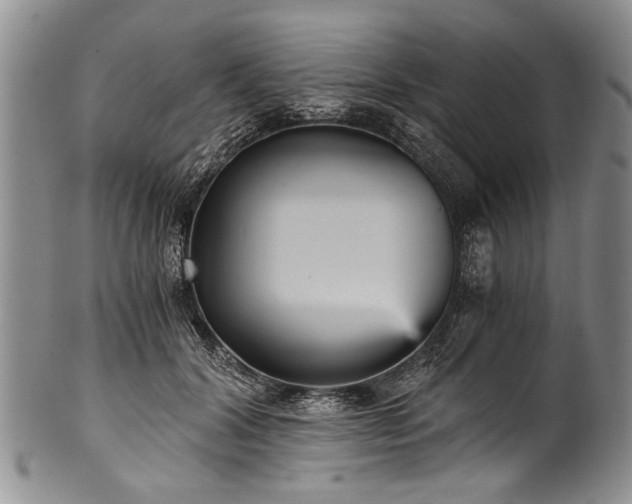 X0000101120604200806261438