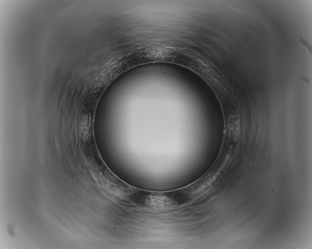 X0000101120605200806261438