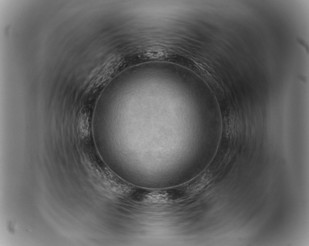 X0000101120606200806261438