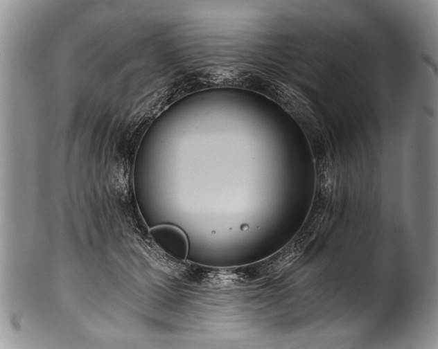 X0000101120607200806261438