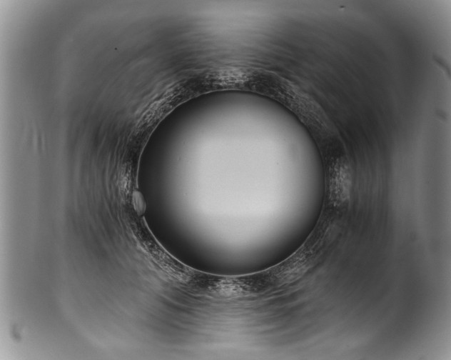 X0000101120608200806261438