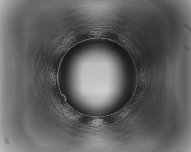 X0000101120609200806261438