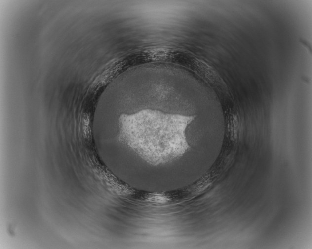 X0000101120610200806261438