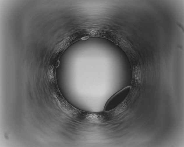 X0000101120611200806261438