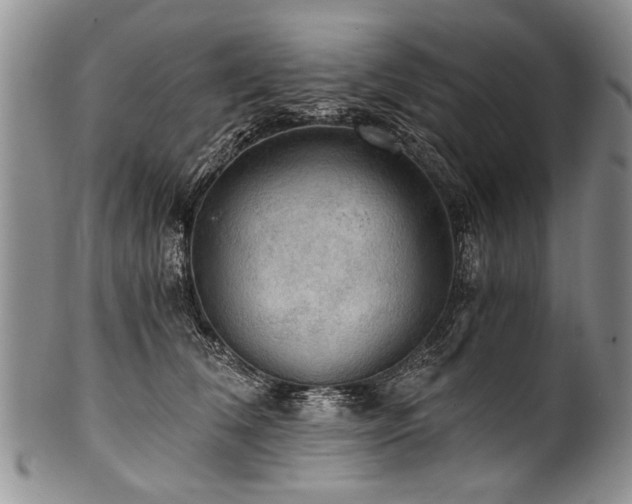 X0000101120612200806261438