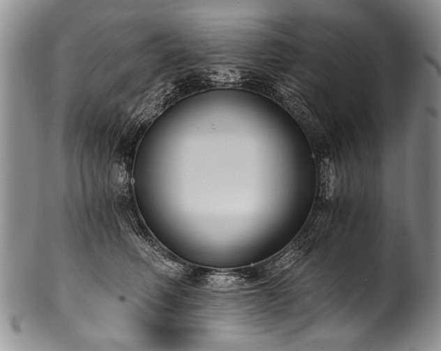 X0000101120614200806261438