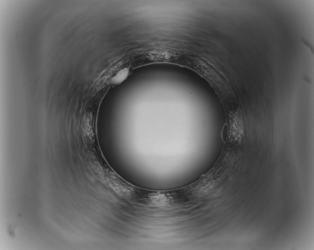 X0000101120616200806261438