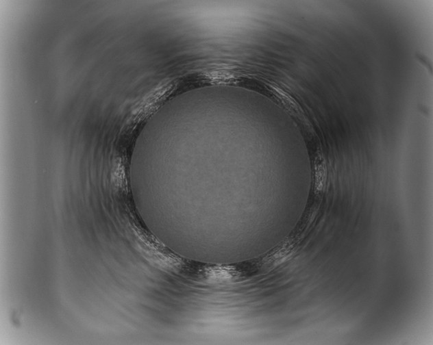 X0000101120618200806261438