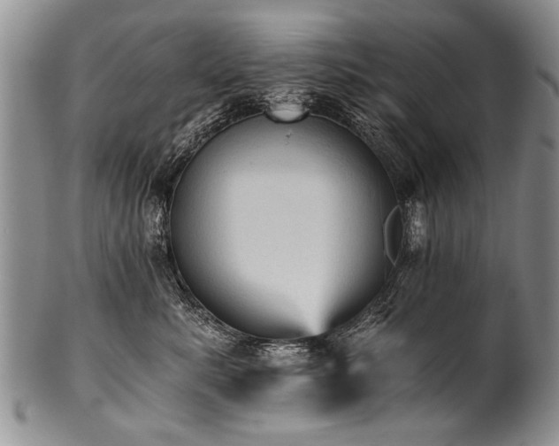 X0000101120619200806261438