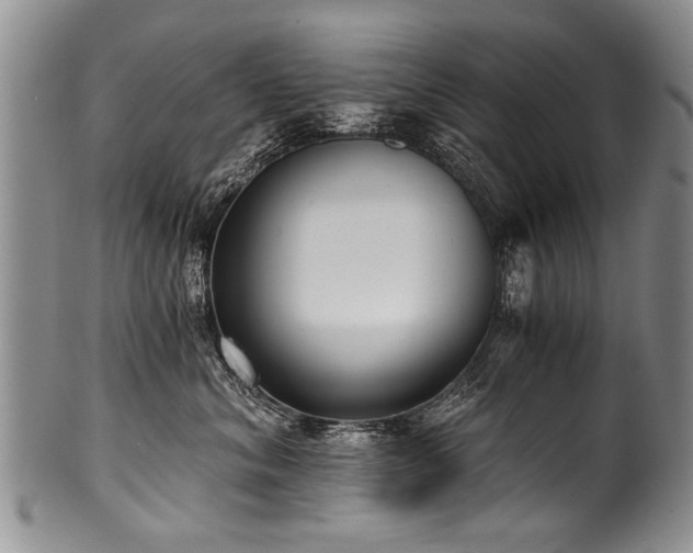 X0000101120620200806261438