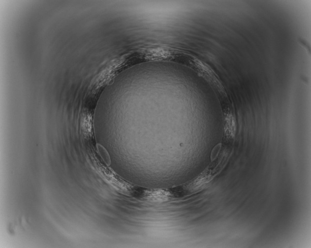 X0000101120621200806261438