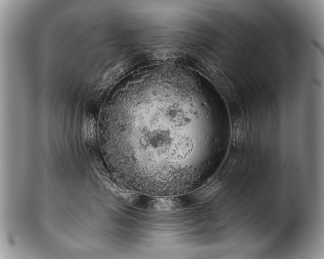 X0000101120623200806261438