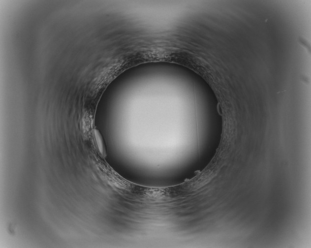 X0000101120624200806261438