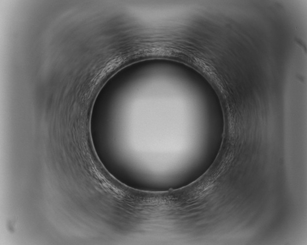 X0000101120625200806261437