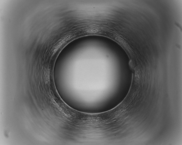 X0000101120626200806261437