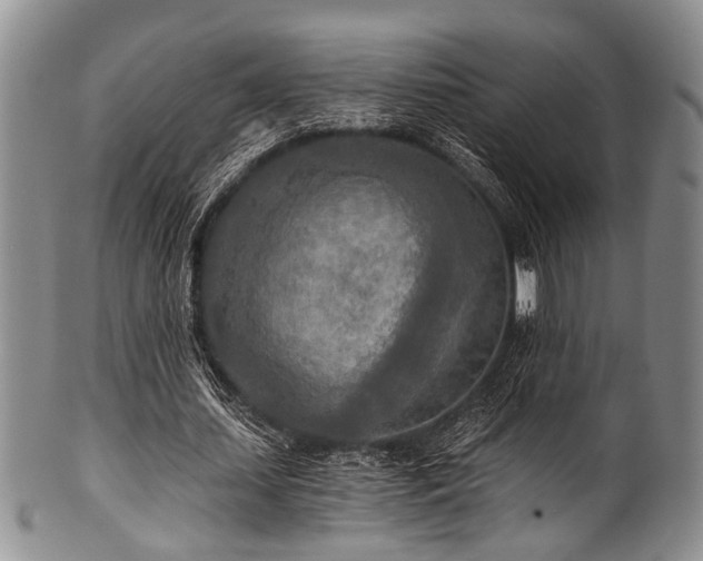 X0000101120627200806261437