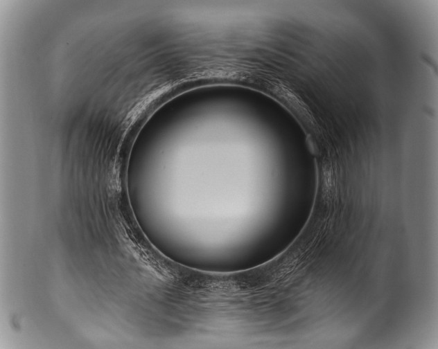 X0000101120628200806261437
