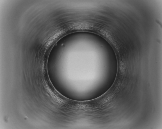 X0000101120629200806261437