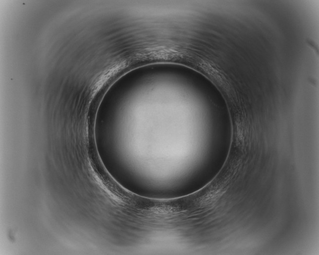 X0000101120630200806261437
