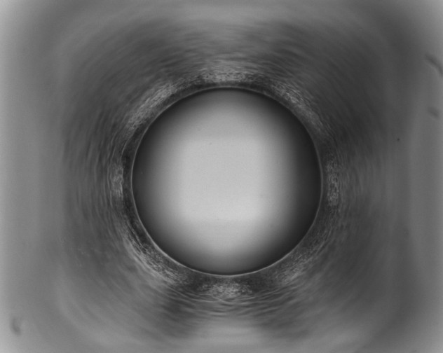 X0000101120631200806261437