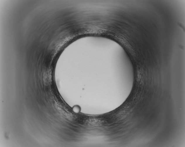 X0000101120632200806261437