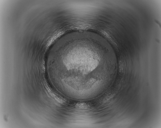 X0000101120634200806261437