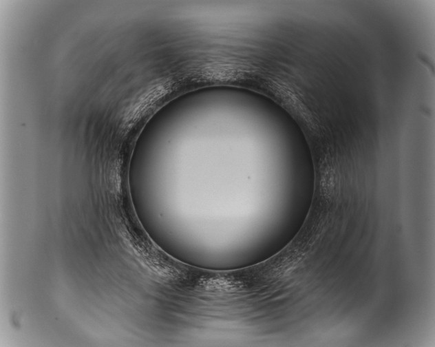 X0000101120635200806261437