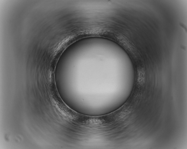 X0000101120636200806261437