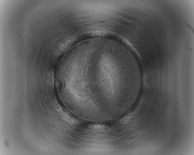 X0000101120637200806261437