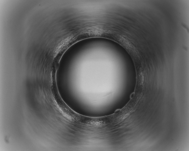 X0000101120638200806261437