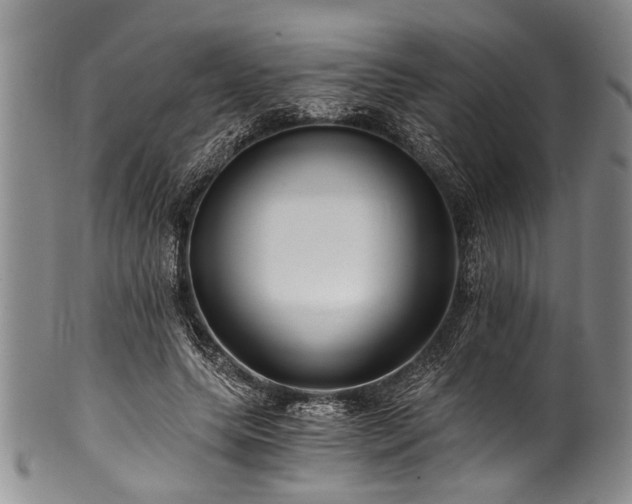 X0000101120639200806261437
