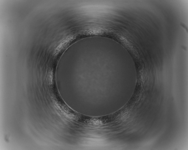 X0000101120640200806261437