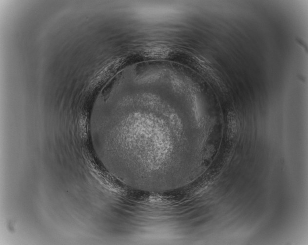 X0000101120641200806261437