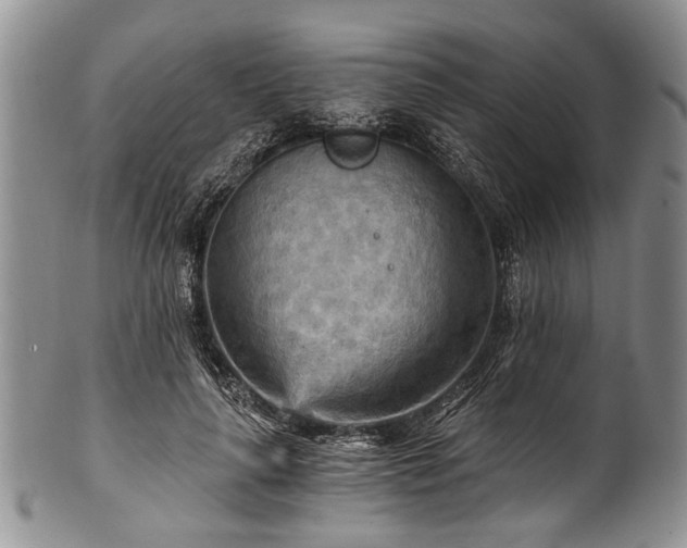 X0000101120643200806261437