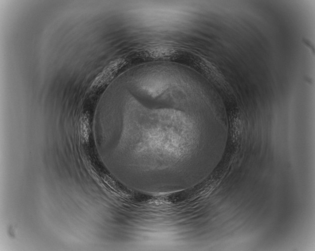 X0000101120644200806261437