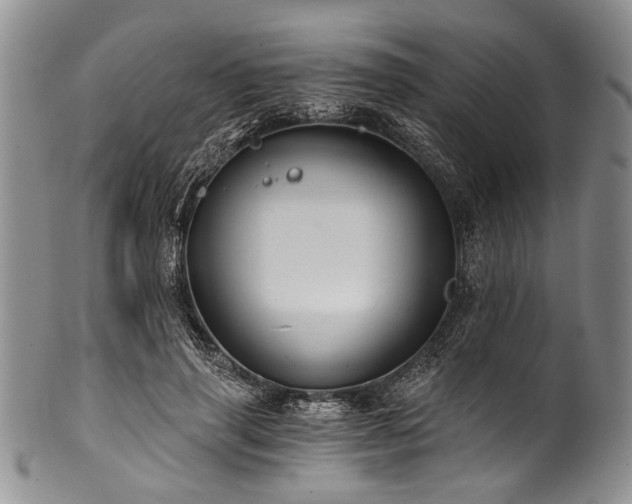 X0000101120645200806261437