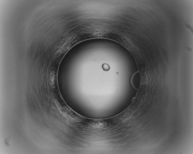 X0000101120646200806261437
