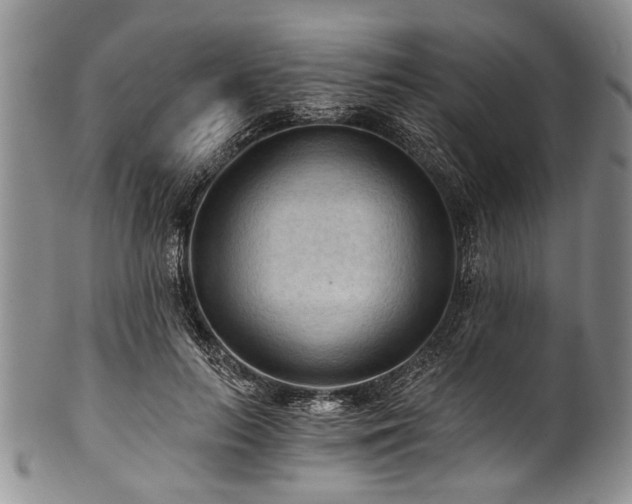 X0000101120647200806261437