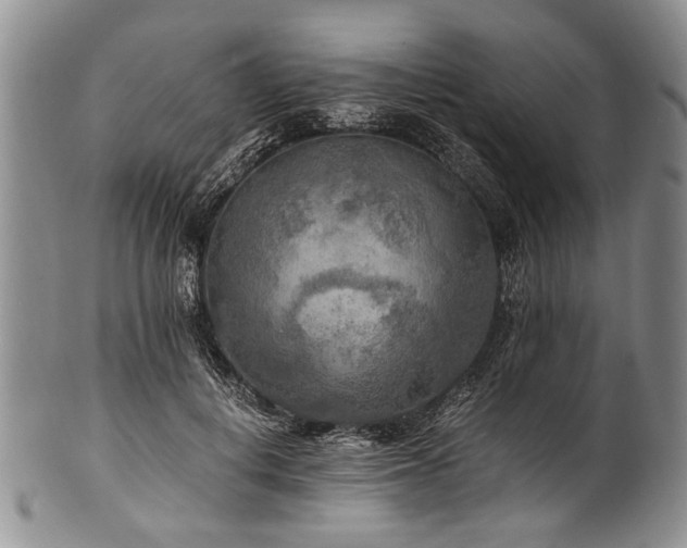 X0000101120648200806261437